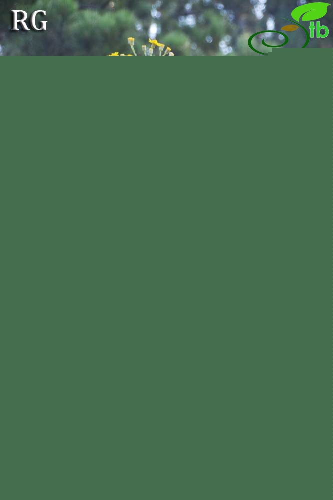 Sandras dağı-Köyceğiz