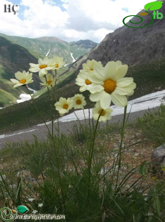 Munzur dağları-Tunceli