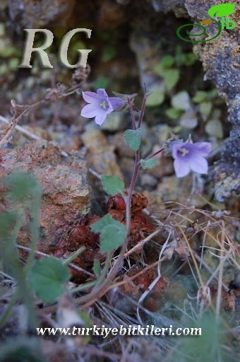 Kızılcahamam-Ankara