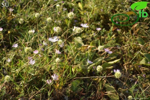 Ovacık-Tunceli