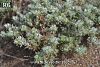 Datça-Muğla