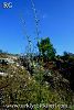 Datça-Muğla