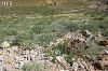 Tunceli